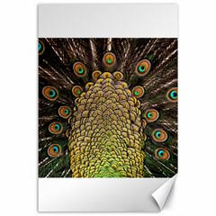 Peacock Feathers Wheel Plumage Canvas 24  X 36  by BangZart