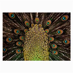 Peacock Feathers Wheel Plumage Large Glasses Cloth (2-side) by BangZart