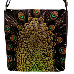 Peacock Feathers Wheel Plumage Flap Messenger Bag (s)