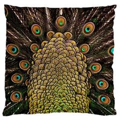 Peacock Feathers Wheel Plumage Standard Flano Cushion Case (one Side)