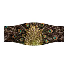 Peacock Feathers Wheel Plumage Stretchable Headband