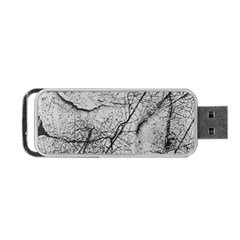 Abstract Background Texture Grey Portable Usb Flash (one Side) by BangZart