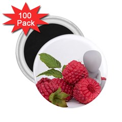Fruit Healthy Vitamin Vegan 2 25  Magnets (100 Pack)  by BangZart