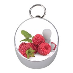 Fruit Healthy Vitamin Vegan Mini Silver Compasses