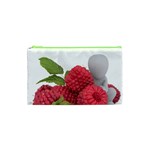 Fruit Healthy Vitamin Vegan Cosmetic Bag (XS) Front
