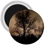 Tree Bushes Black Nature Landscape 3  Magnets Front