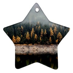 Trees Plants Nature Forests Lake Ornament (star) by BangZart