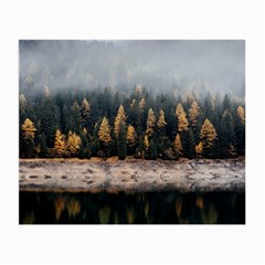 Trees Plants Nature Forests Lake Small Glasses Cloth (2-side) by BangZart