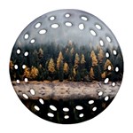 Trees Plants Nature Forests Lake Round Filigree Ornament (Two Sides) Front