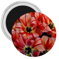 Tulips Flowers Spring 3  Magnets by BangZart