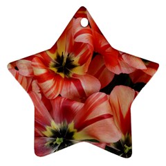 Tulips Flowers Spring Ornament (star) by BangZart