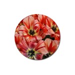 Tulips Flowers Spring Magnet 3  (Round) Front