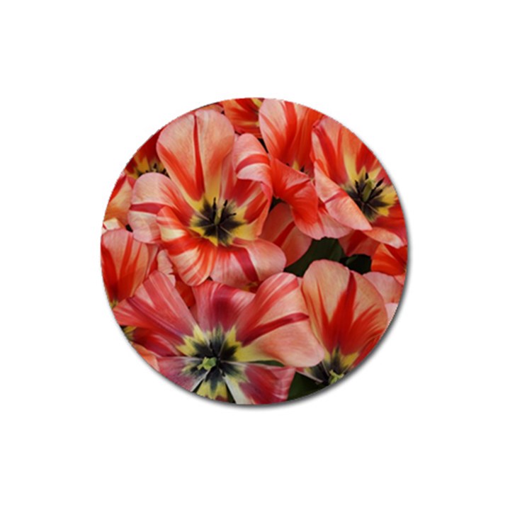 Tulips Flowers Spring Magnet 3  (Round)