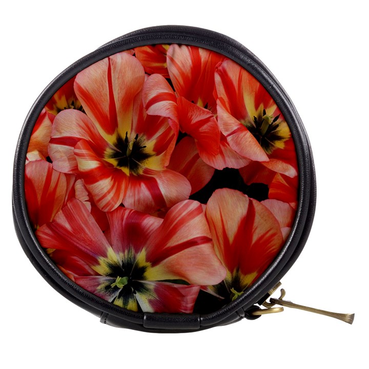 Tulips Flowers Spring Mini Makeup Bags