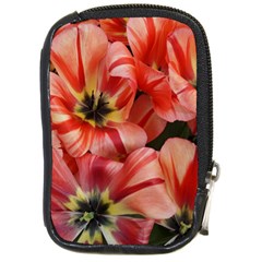 Tulips Flowers Spring Compact Camera Cases