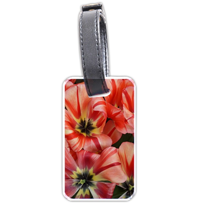 Tulips Flowers Spring Luggage Tags (One Side) 