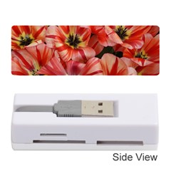 Tulips Flowers Spring Memory Card Reader (stick)  by BangZart
