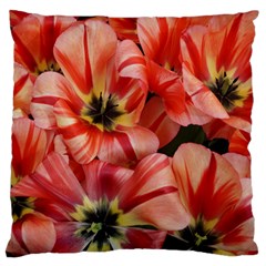 Tulips Flowers Spring Large Flano Cushion Case (two Sides)