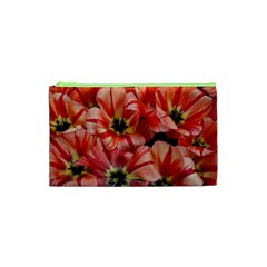 Tulips Flowers Spring Cosmetic Bag (xs)