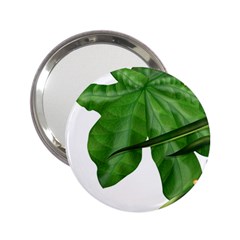 Plant Berry Leaves Green Flower 2 25  Handbag Mirrors by BangZart