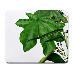 Plant Berry Leaves Green Flower Large Mousepads by BangZart
