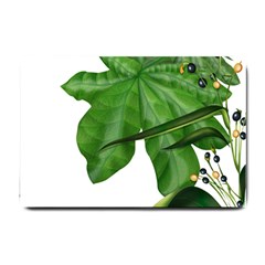 Plant Berry Leaves Green Flower Small Doormat  by BangZart