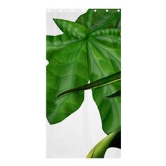 Plant Berry Leaves Green Flower Shower Curtain 36  X 72  (stall)  by BangZart