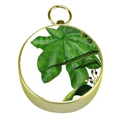 Plant Berry Leaves Green Flower Gold Compasses