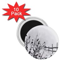 Snow Winter Cold Landscape Fence 1 75  Magnets (10 Pack)  by BangZart