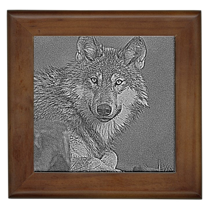 Wolf Forest Animals Framed Tiles