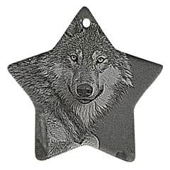 Wolf Forest Animals Ornament (Star)