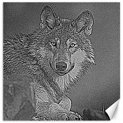 Wolf Forest Animals Canvas 16  x 16  