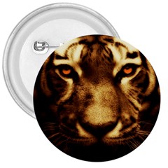 Cat Tiger Animal Wildlife Wild 3  Buttons by Celenk