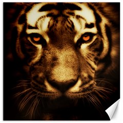 Cat Tiger Animal Wildlife Wild Canvas 16  X 16   by Celenk