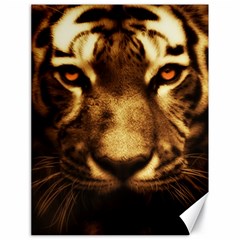 Cat Tiger Animal Wildlife Wild Canvas 18  X 24   by Celenk