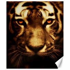 Cat Tiger Animal Wildlife Wild Canvas 20  X 24   by Celenk