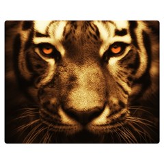 Cat Tiger Animal Wildlife Wild Double Sided Flano Blanket (medium)  by Celenk
