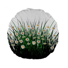 Spring Flowers Grass Meadow Plant Standard 15  Premium Round Cushions