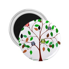 Tree Root Leaves Owls Green Brown 2 25  Magnets by Celenk