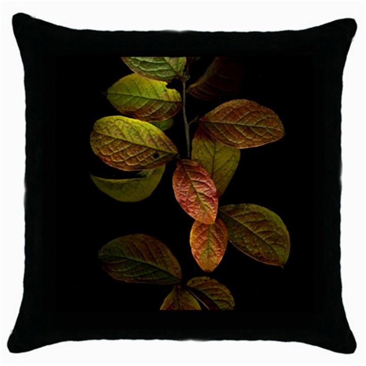 Autumn Leaves Foliage Throw Pillow Case (Black)