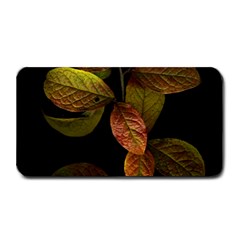 Autumn Leaves Foliage Medium Bar Mats