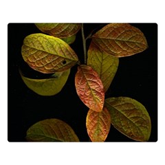 Autumn Leaves Foliage Double Sided Flano Blanket (large)  by Celenk