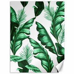 Banana Leaves And Fruit Isolated With Four Pattern Canvas 36  X 48  