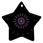 Fractal Mandala Delicate Pattern Ornament (Star) Front