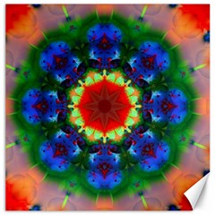 Fractal Digital Mandala Floral Canvas 16  X 16   by Celenk