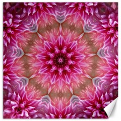 Flower Mandala Art Pink Abstract Canvas 20  X 20   by Celenk