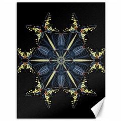 Mandala Butterfly Concentration Canvas 36  X 48  