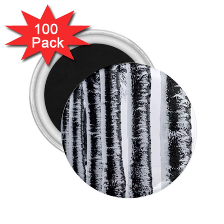 Row Trees Nature Birch 2.25  Magnets (100 pack) 