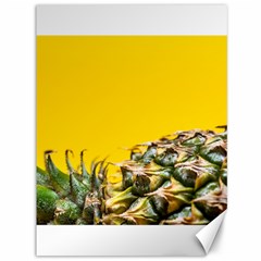 Pineapple Raw Sweet Tropical Food Canvas 36  X 48   by Celenk