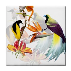 Birds Of Paradise Tile Coasters